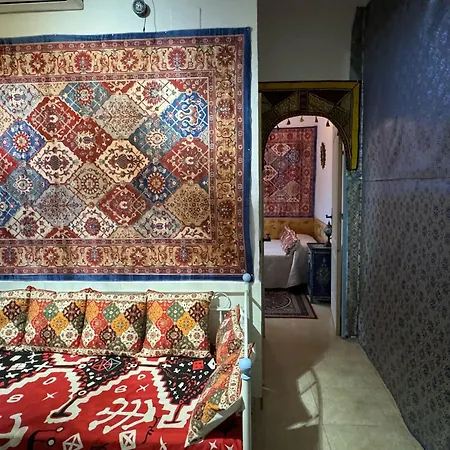 Mi Pasion Andalusi En 2 Cordoba