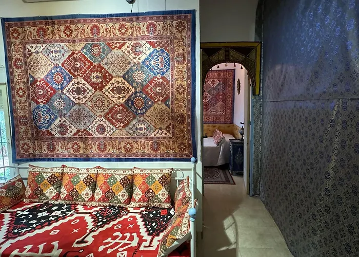 Mi Pasion Andalusi En 2 Córdova